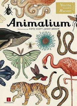 ANIMALIUM | 9788415979463 | SCOTT, KATIE / JENNY BROOM | Llibreria L'Illa - Llibreria Online de Mollet - Comprar llibres online