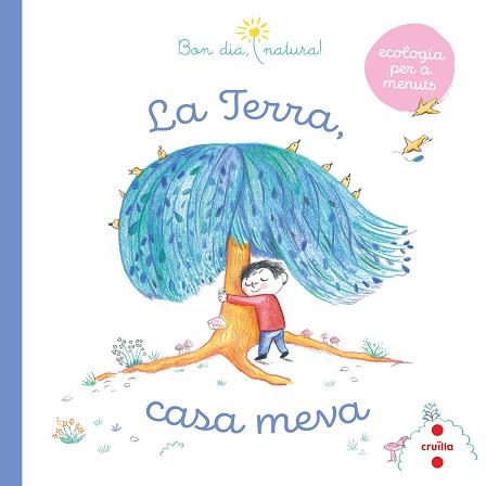 TERRA CASA MEVA, LA | 9788466149006 | FLEURUS, GROUPE | Llibreria L'Illa - Llibreria Online de Mollet - Comprar llibres online