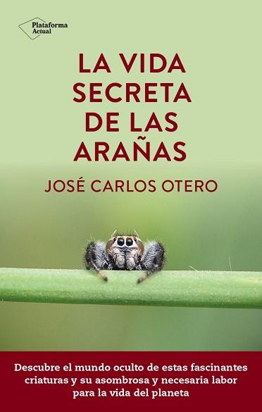 VIDA SECRETA DE LAS ARAÑAS, LA | 9788419655189 | OTERO, JOSÉ CARLOS | Llibreria L'Illa - Llibreria Online de Mollet - Comprar llibres online