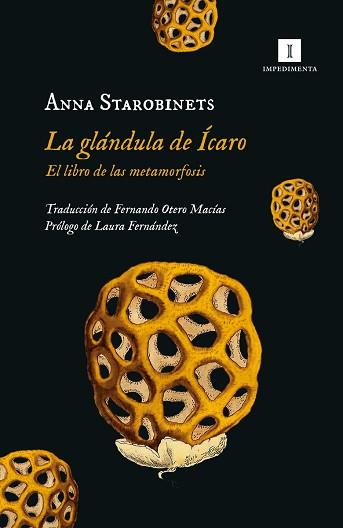 GLÁNDULA DE ÍCARO, LA | 9788419581020 | STAROBINETS, ANNA | Llibreria L'Illa - Llibreria Online de Mollet - Comprar llibres online