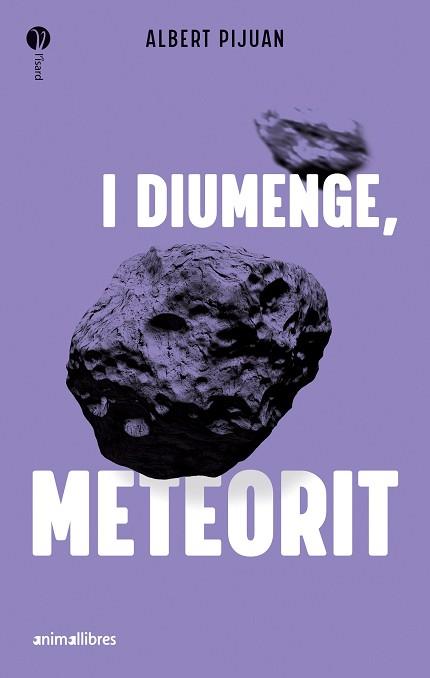 I DIUMENGE METEORIT | 9788419659415 | PIJUAN, ALBERT | Llibreria L'Illa - Llibreria Online de Mollet - Comprar llibres online