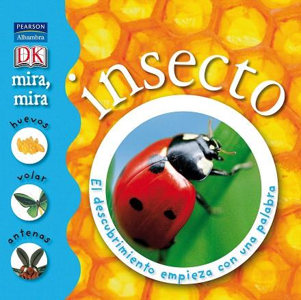 INSECTO : EL DESCUBRIMIENTO EMPIEZA CON UNA PALABRA | 9788420552514 | ARLON, PENELOPE (1971- ) | Llibreria L'Illa - Llibreria Online de Mollet - Comprar llibres online