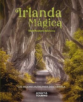 IRLANDA MÁGICA | 9788491587224 | ROCABERTI, DAVID | Llibreria L'Illa - Llibreria Online de Mollet - Comprar llibres online