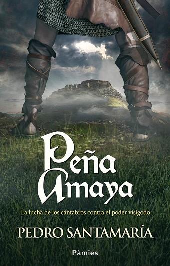 PEÑA AMAYA | 9788415433439 | SANTAMARÍA FERNÁNDEZ, PEDRO | Llibreria L'Illa - Llibreria Online de Mollet - Comprar llibres online