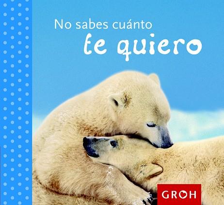 NO SABES CUÁNTO TE QUIERO | 9788490680162 | GROH | Llibreria L'Illa - Llibreria Online de Mollet - Comprar llibres online