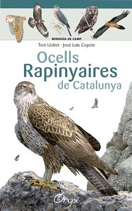 OCELLS RAPINYAIRES DE CATALUNYA | 9788490346785 | LLOBET FRANÇOIS, TONI/COPETE, JOSÉ LUIS | Llibreria L'Illa - Llibreria Online de Mollet - Comprar llibres online