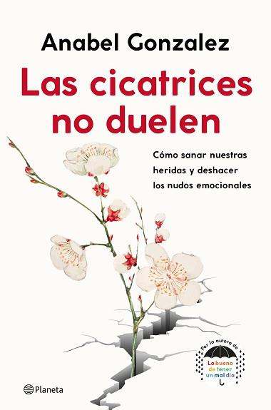 CICATRICES NO DUELEN, LAS | 9788408239093 | GONZALEZ, ANABEL | Llibreria L'Illa - Llibreria Online de Mollet - Comprar llibres online