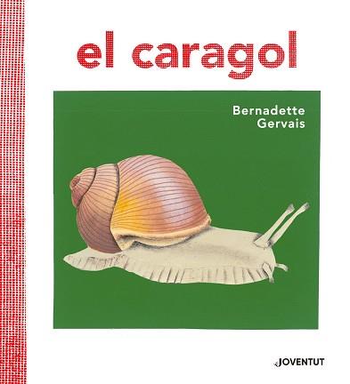 CARAGOL, EL | 9788426145680 | GERVAIS, BERNADETTE/TORNERO BRUGUÉS, SUSANA | Llibreria L'Illa - Llibreria Online de Mollet - Comprar llibres online