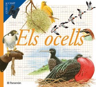 OCELLS, ELS | 9788434228283 | Llibreria L'Illa - Llibreria Online de Mollet - Comprar llibres online