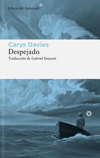 DESPEJADO | 9788410178328 | DAVIES, CARYS | Llibreria L'Illa - Llibreria Online de Mollet - Comprar llibres online