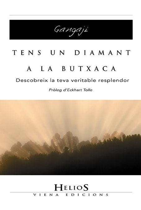 TENS UN DIAMANT A LA BUTXACA DESCOBREIX LA TEVA VERITABLE... | 9788483304525 | GANGAJI | Llibreria L'Illa - Llibreria Online de Mollet - Comprar llibres online