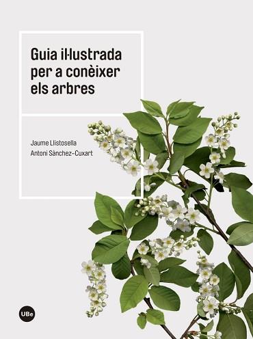 GUIA IL·LUSTRADA PER A CONEIXER ELS ARBRES | 9788447542444 | LLISTOSELLA VIDAL, JAUME/SÀNCHEZ CUXART, ANTONI | Llibreria L'Illa - Llibreria Online de Mollet - Comprar llibres online