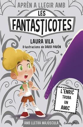 APRÈN A LLEGIR AMB LES FANTASTICOTES 11. L'ENRIC TROBA UN AMIC | 9788491379843 | VILA, LAURA | Llibreria L'Illa - Llibreria Online de Mollet - Comprar llibres online