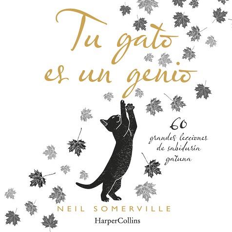 TU GATO ES UN GENIO. 60 GRANDES LECCIONES DE SABIDURÍA GATUNA | 9788491394211 | SOMERVILLE, NEIL | Llibreria L'Illa - Llibreria Online de Mollet - Comprar llibres online