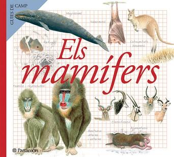 MAMIFERS, ELS (GUIES DE CAMP) | 9788434228368 | JULIVERT ZAMARREÑO, MARIA ANGELS | Llibreria L'Illa - Llibreria Online de Mollet - Comprar llibres online