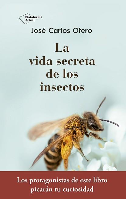 VIDA SECRETA DE LOS INSECTOS, LA | 9788417376789 | OTERO GONZÁLEZ, JOSÉ CARLOS | Llibreria L'Illa - Llibreria Online de Mollet - Comprar llibres online