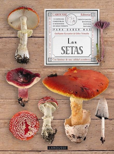 GRAN LIBRO DE LAS SETAS, EL | 9788480169738 | Llibreria L'Illa - Llibreria Online de Mollet - Comprar llibres online