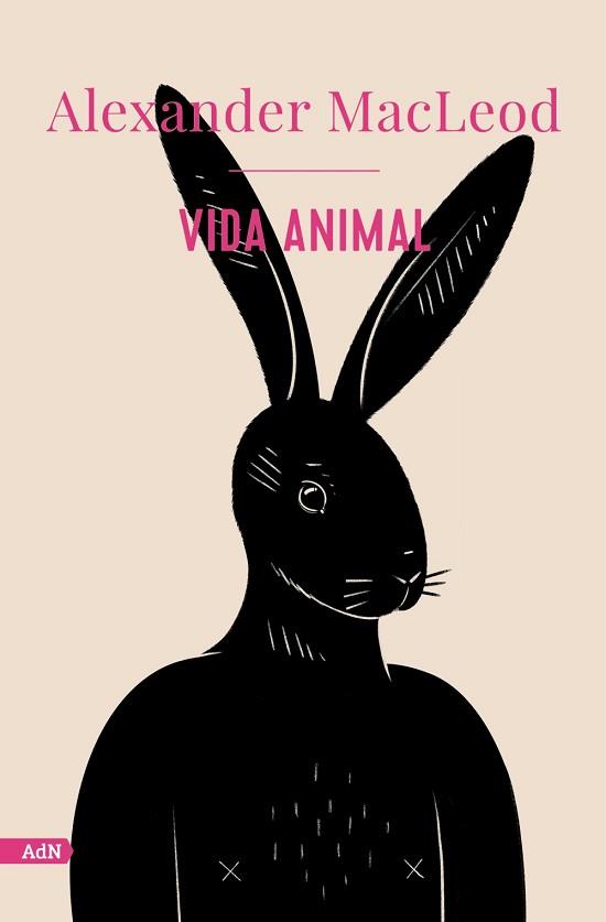 VIDA ANIMAL  | 9788413629520 | MACLEOD, ALEXANDER | Llibreria L'Illa - Llibreria Online de Mollet - Comprar llibres online