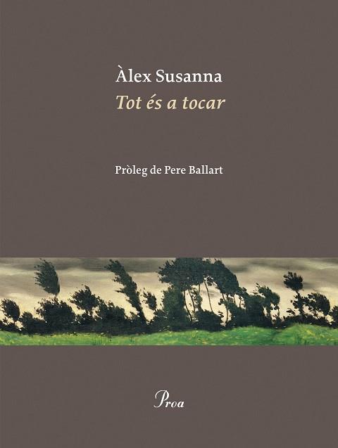 TOT ÉS A TOCAR | 9788410488045 | SUSANNA NADAL, ÀLEX | Llibreria L'Illa - Llibreria Online de Mollet - Comprar llibres online