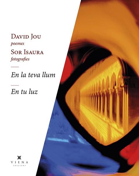 EN LA TEVA LLUM - EN TU LUZ | 9788418908262 | JOU MIRABENT, DAVID | Llibreria L'Illa - Llibreria Online de Mollet - Comprar llibres online