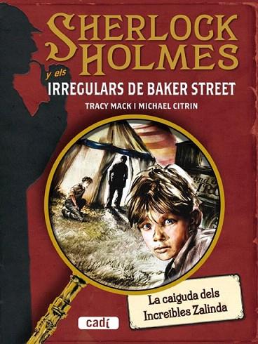 SHERLOCK HOLMES I ELS IRREGULARS DE BAKER STREET | 9788447411641 | MACK, TRACY / MICHAEL CITRIN | Llibreria L'Illa - Llibreria Online de Mollet - Comprar llibres online