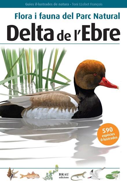 FLORA I FAUNA DEL PARC NATURAL DELTA DE L'EBRE | 9788496905184 | LLOBET,TONI | Llibreria L'Illa - Llibreria Online de Mollet - Comprar llibres online