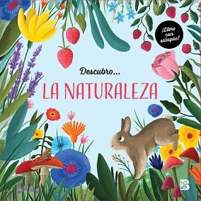 DESCUBRO? LA NATURALEZA | 9789403229386 | BALLON | Llibreria L'Illa - Llibreria Online de Mollet - Comprar llibres online