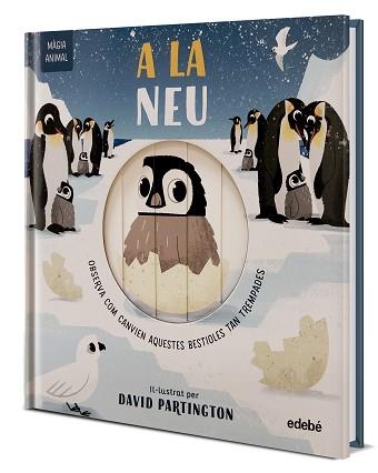 MÀGIA ANIMAL: A LA NEU | 9788468372150 | CLARK, NEIL/STONE, HARRIET | Llibreria L'Illa - Llibreria Online de Mollet - Comprar llibres online