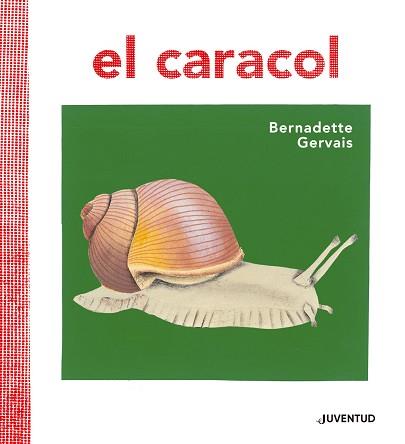 CARACOL, EL | 9788426145673 | GERVAIS, BERNADETTE/TORNERO BRUGUÉS, SUSANA | Llibreria L'Illa - Llibreria Online de Mollet - Comprar llibres online