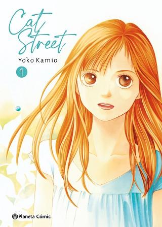 CAT STREET Nº 01/04 | 9788491534624 | KAMIO, YOKO | Llibreria L'Illa - Llibreria Online de Mollet - Comprar llibres online