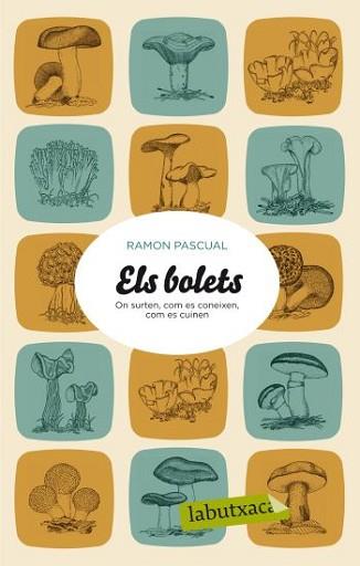 BOLETS, ELS | 9788499301501 | PASCUAL, RAMON | Llibreria L'Illa - Llibreria Online de Mollet - Comprar llibres online