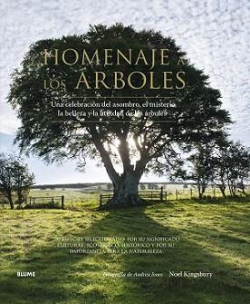 HOMENAJE A LOS ÁRBOLES | 9788416138562 | KINGSBURY, NOEL/JONES, ANDREA | Llibreria L'Illa - Llibreria Online de Mollet - Comprar llibres online