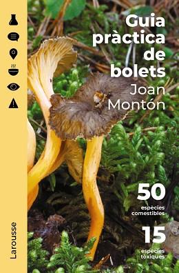 GUIA PRÀCTICA DE BOLETS | 9788418473852 | MONTÓN MARTÍNEZ, JOAN | Llibreria L'Illa - Llibreria Online de Mollet - Comprar llibres online