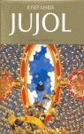 JOSEP MARIA JUJOL | 9783822844076 | LLINAS, JOSEP | Llibreria L'Illa - Llibreria Online de Mollet - Comprar llibres online