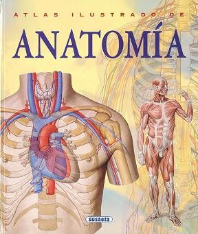 ATLAS ILUSTRADO DE ANATOMIA | 9788430534784 | Llibreria L'Illa - Llibreria Online de Mollet - Comprar llibres online