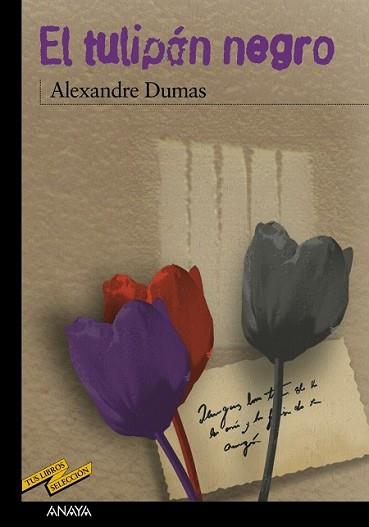 EL TULIPAN NEGRO | 9788420712680 | DUMAS, ALEXANDRE | Llibreria L'Illa - Llibreria Online de Mollet - Comprar llibres online