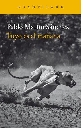 TUYO ES EL MAÑANA | 9788416748174 | MARTÍN SÁNCHEZ, PABLO | Llibreria L'Illa - Llibreria Online de Mollet - Comprar llibres online