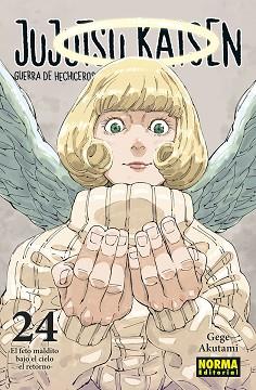 JUJUTSU KAISEN 24 | 9788467967319 | AKUTAMI, GEGE | Llibreria L'Illa - Llibreria Online de Mollet - Comprar llibres online