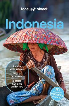 INDONESIA 6 | 9788408291190 | D'ARCY, JAYNE/EIMER, DAVID/HARDING, PAUL/JOHANSON, MARK/LEE, JASON/ST.LOUIS, REGIS/BERKMOES, RYAN VE | Llibreria L'Illa - Llibreria Online de Mollet - Comprar llibres online