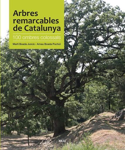 ARBRES REMARCABLES DE CATALUNYA | 9788496905535 | BOADA JUNCÀ, MARTÍ/ BOEDA PUCHOL, ARNAU | Llibreria L'Illa - Llibreria Online de Mollet - Comprar llibres online