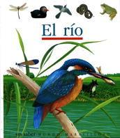 RIO, EL | 9788434838116 | Llibreria L'Illa - Llibreria Online de Mollet - Comprar llibres online