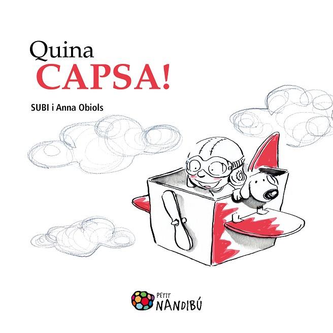 QUINA CAPSA! | 9788499756486 | OBIOLS, ANNA | Llibreria L'Illa - Llibreria Online de Mollet - Comprar llibres online