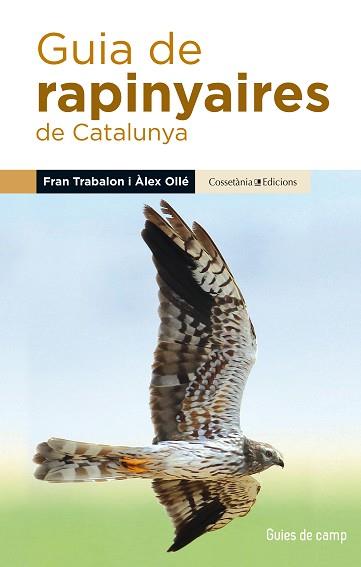 GUIA DE RAPINYAIRES DE CATALUNYA | 9788490345252 | OLLÉ TORNÉ, ÀLEX/TRABALON CARRICONDO, FRAN | Llibreria L'Illa - Llibreria Online de Mollet - Comprar llibres online