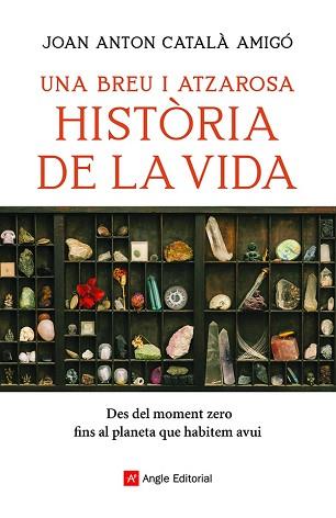 BREU I ATZAROSA HISTÒRIA DE LA VIDA, UNA | 9788418197956 | CATALÀ AMIGÓ, JOAN ANTON | Llibreria L'Illa - Llibreria Online de Mollet - Comprar llibres online