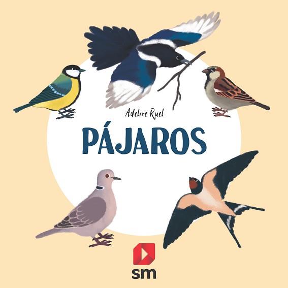 PÁJAROS | 9788413188607 | RUEL, ADELINE | Llibreria L'Illa - Llibreria Online de Mollet - Comprar llibres online