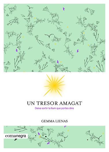 TRESOR AMAGAT, UN | 9788416605347 | LIENAS MASSOT, GEMMA