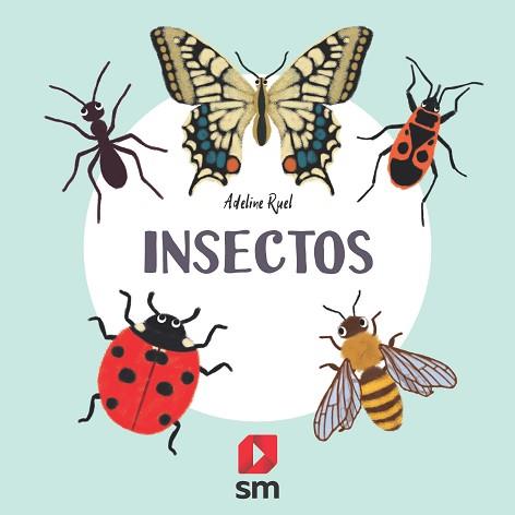 INSECTOS | 9788413188591 | RUEL, ADELINE | Llibreria L'Illa - Llibreria Online de Mollet - Comprar llibres online