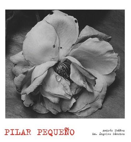 PILAR PEQUEÑO | 9788497856874 | IBAÑEZ, ANDRES/ SANCHEZ, Mª ANGELES | Llibreria L'Illa - Llibreria Online de Mollet - Comprar llibres online