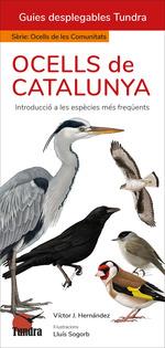 OCELLS DE CATALUNYA (CAT) | 9788419624864 | HERNANDEZ, VICTOR J. | Llibreria L'Illa - Llibreria Online de Mollet - Comprar llibres online