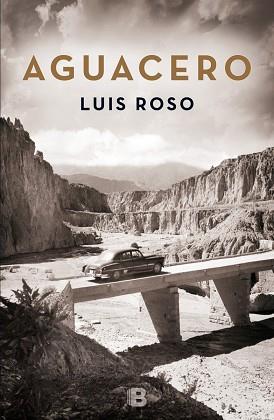 AGUACERO | 9788466659215 | ROSO, LUIS | Llibreria L'Illa - Llibreria Online de Mollet - Comprar llibres online